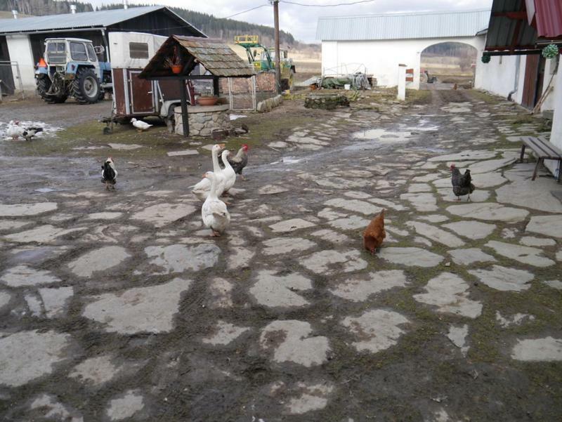 Pod Kasztanem Gospodarstwo Agroturystyczne Stronie Śląskie Exterior foto